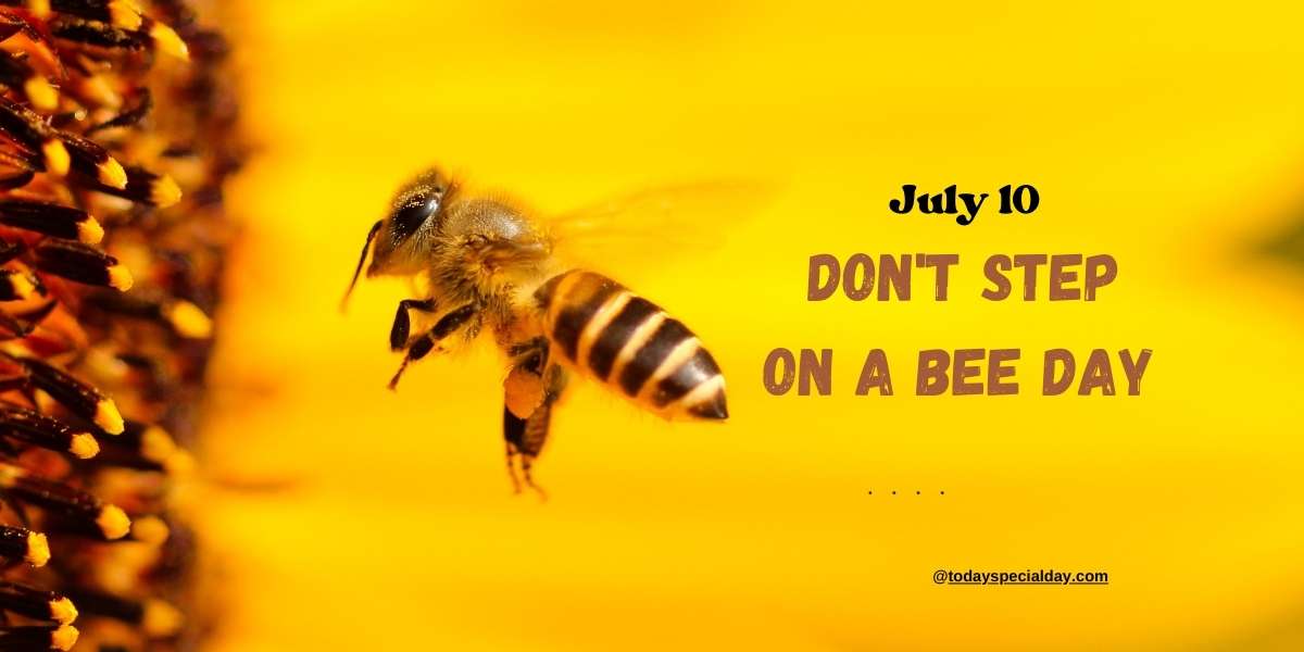 Don't Step On A Bee Day – July 10: Activities, Facts & Quotes