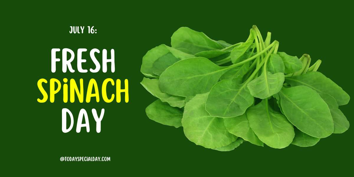 Fresh Spinach Day - July 16: Celebrate, Quotes & Recipe