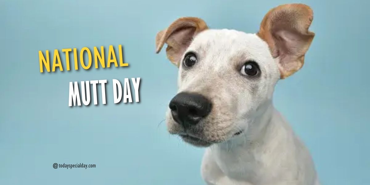 National Mutt Day – July 31, 2023: Dates, Tips & Quotes