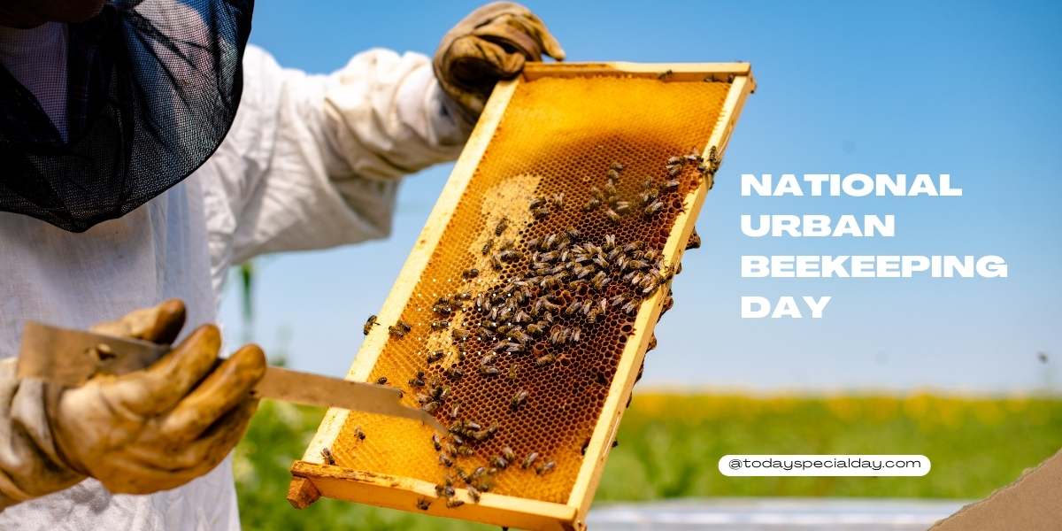 National Urban Beekeeping Day - July 19: Benefits & Quotes