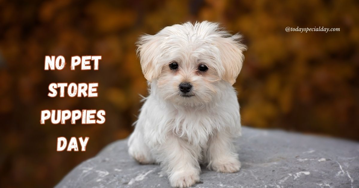 No Pet Store Puppies Day – July 21: Importance & Quotes