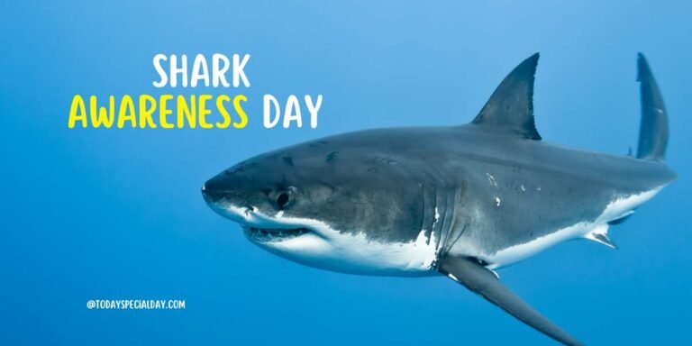 Shark Awareness Day – July 14, 2023: Activities & Facts