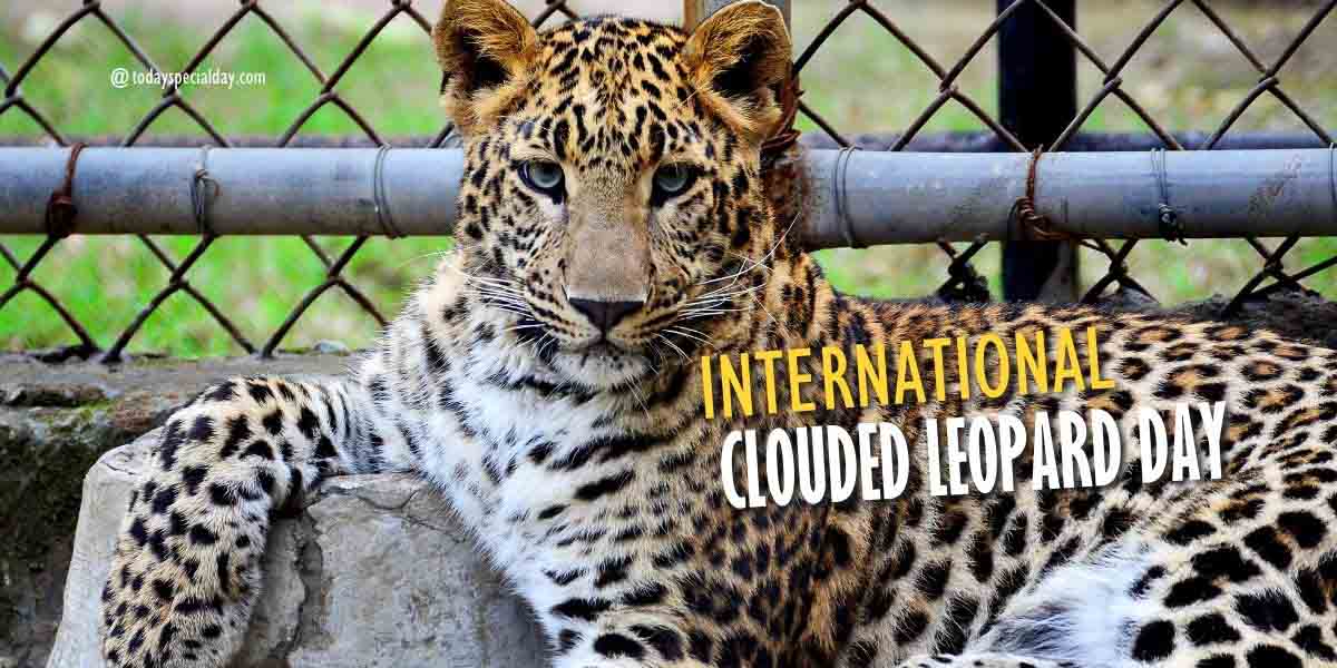 International Clouded Leopard Day – August 4: History, Theme & Facts