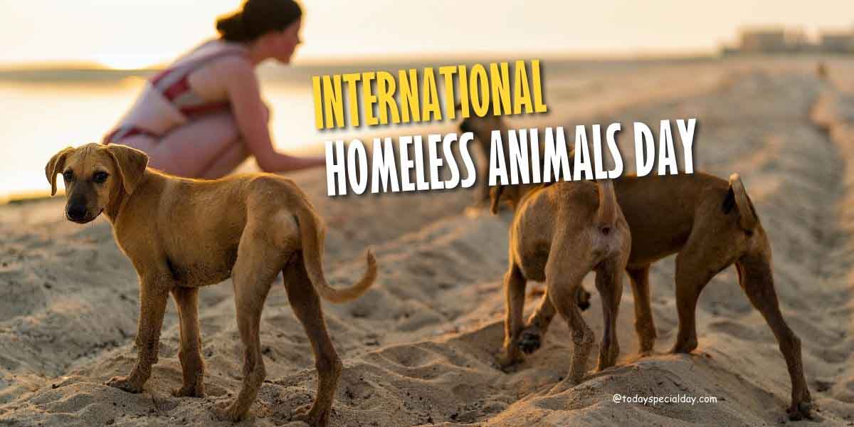 International Homeless Animals Day – August 19: History & Quotes
