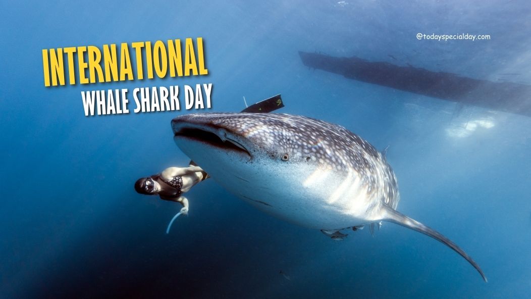 International Whale Shark Day – August 30: History, Theme & Activities