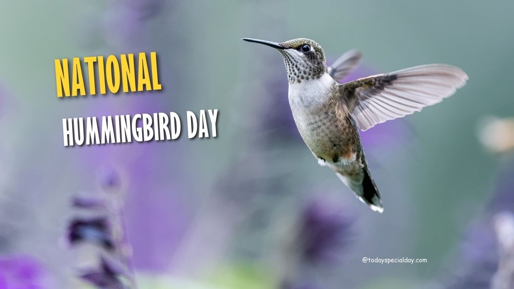 National Hummingbird Day – September 2, 2023
