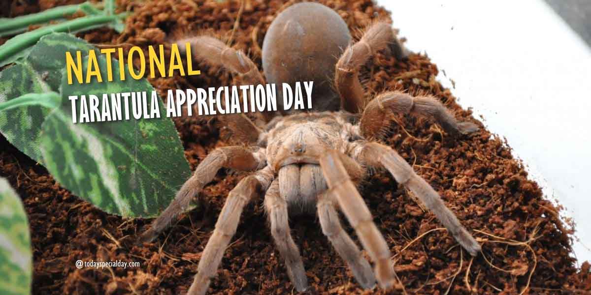 National Tarantula Appreciation Day – August 8: History, Activities & Quotes
