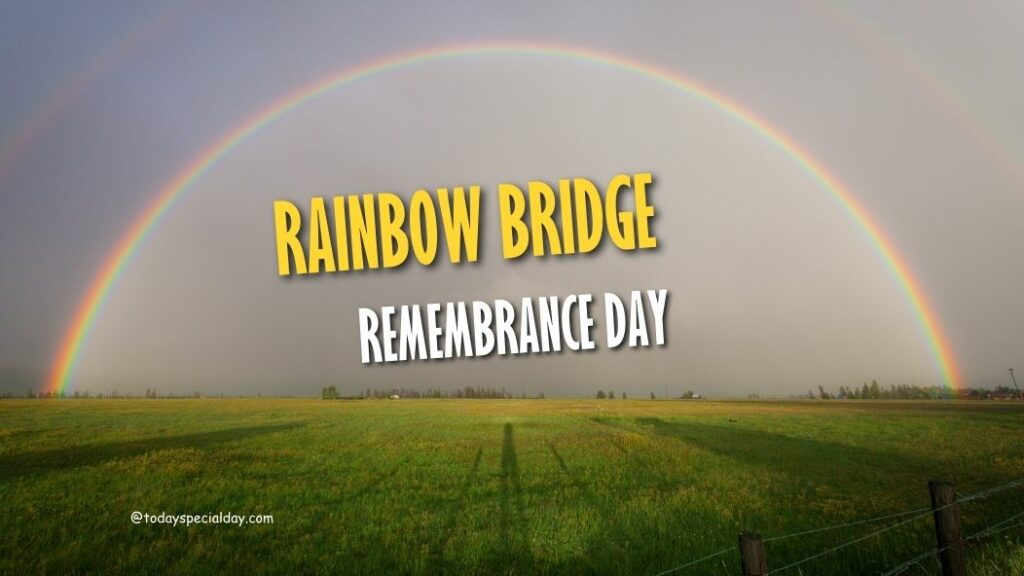 Rainbow Bridge Remembrance Day August 28 Significance & Quotes