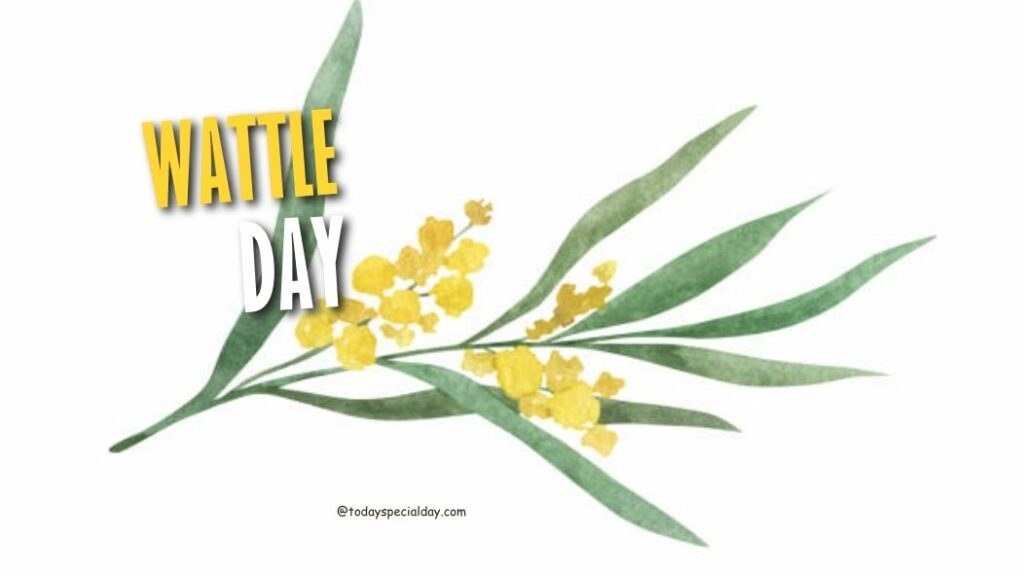 Wattle Day September 1, 2023 in Australia Today Special Day