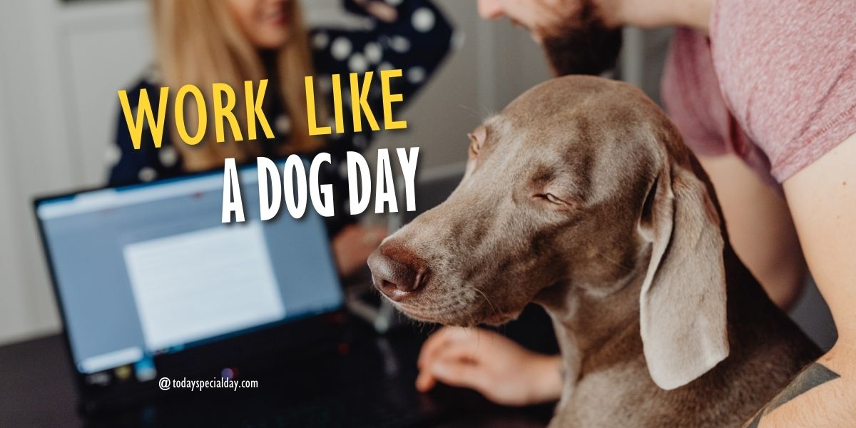 Work Like a Dog Day – August 5: History, Facts & Quotes