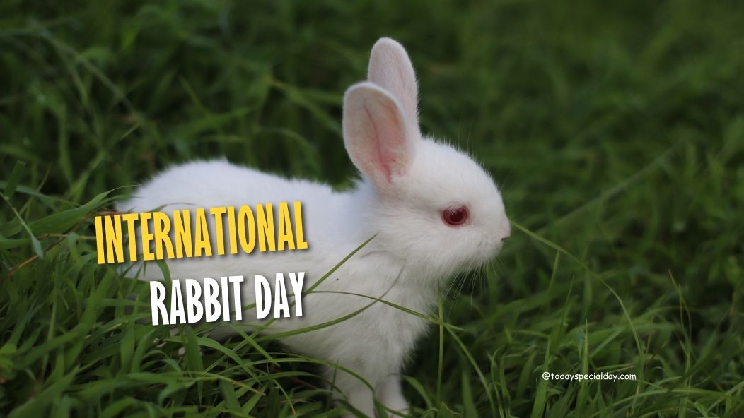 International Rabbit Day – September 23: History, Celebrate & Facts