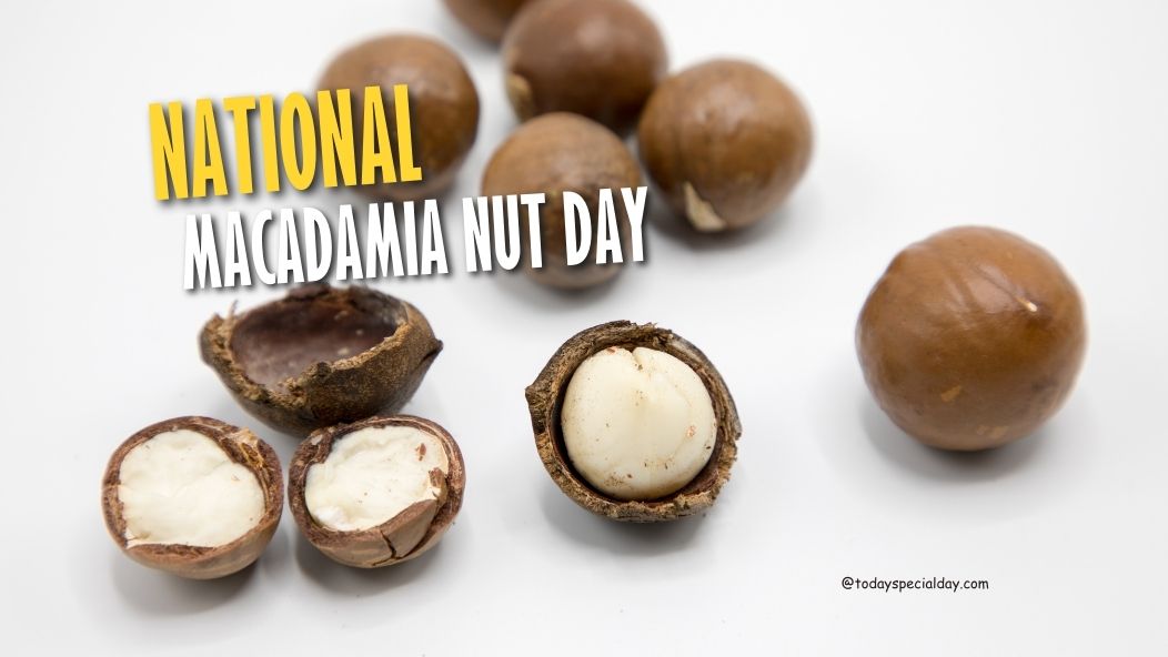 National Macadamia Nut Day – September 4, 2023