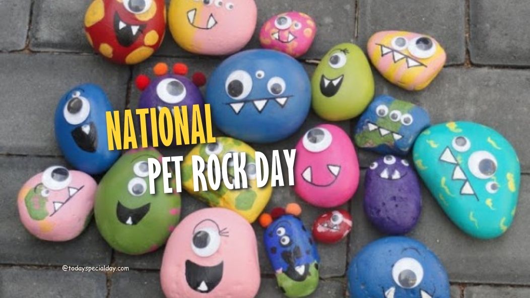 National Pet Rock Day – September 3, 2023