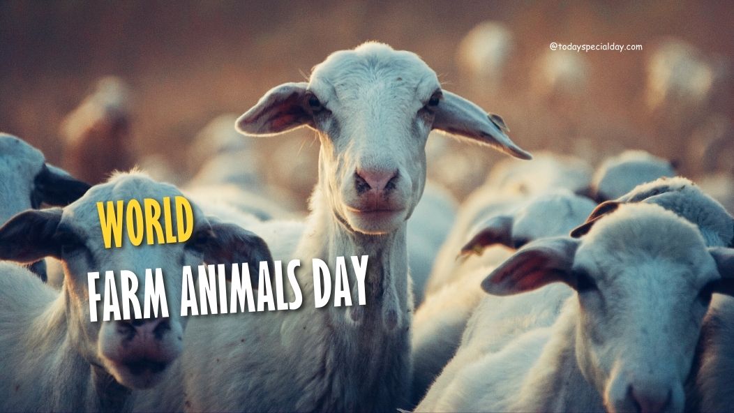 World Farm Animals Day – October 2: History, Impact & Celebrate