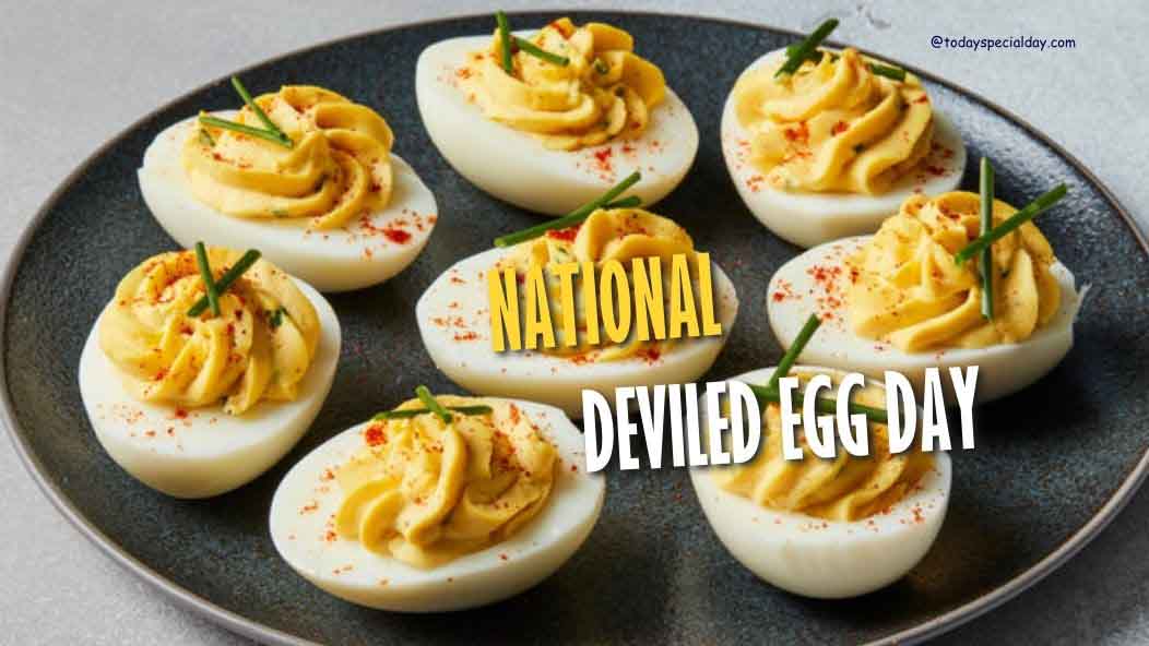 National Deviled Egg Day – November 2: History, Celebrate & Quotes